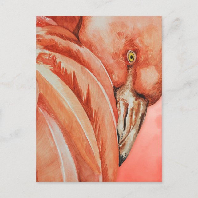 Cartão Postal Flamingo (Frente)