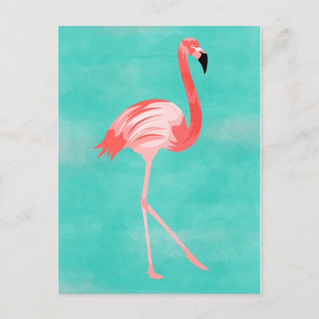 Cartão Postal Flamingo Bird (Frente)