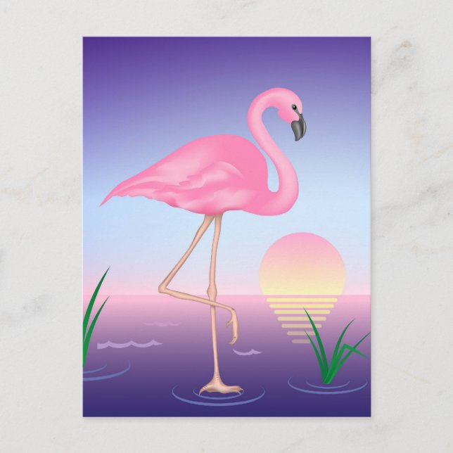 Cartão Postal Flamingo cor-de-rosa (Frente)