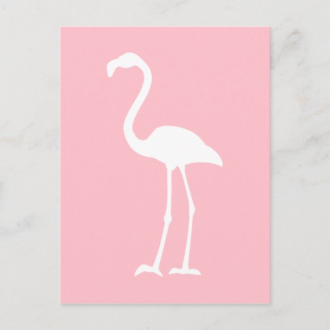 Cartão Postal Flamingo Cor-de-rosa e branco (Frente)