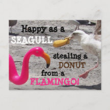 Flamingo, cor-de-rosa, Rosquinha de Seagull, Humor