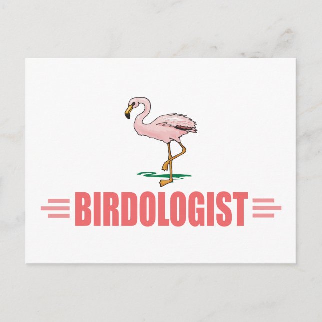 Cartão Postal Flamingo Engraçado de Observação de Aves (Frente)