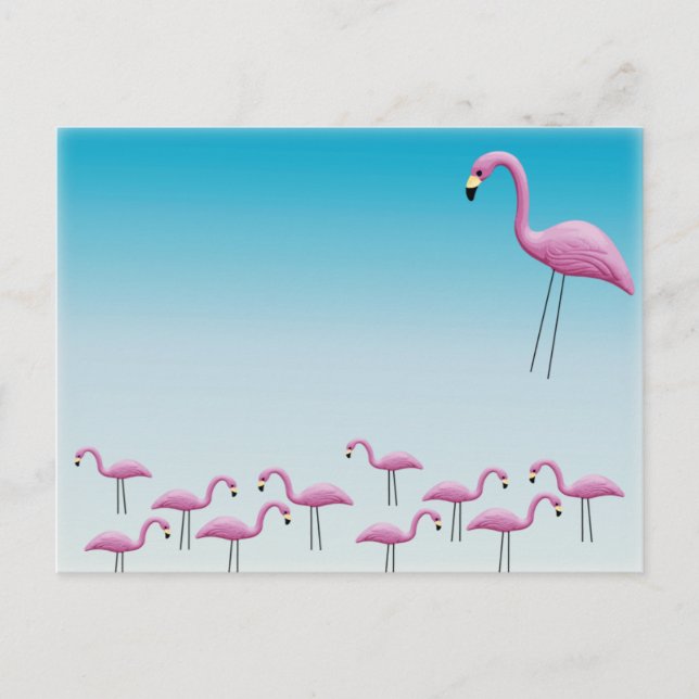 Cartão Postal Flamingo Flock (Frente)
