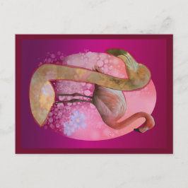 Cartão Postal Flamingo Floral
