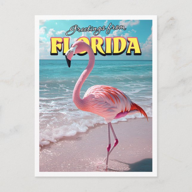 Cartão postal Flamingo Florida (Frente)