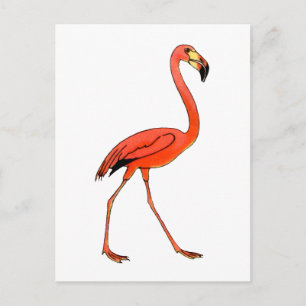 Cartão Postal Flamingo Rosa