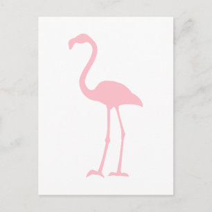 Cartão Postal Flamingo Rosa