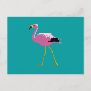 Cartão Postal Flamingo Rosa