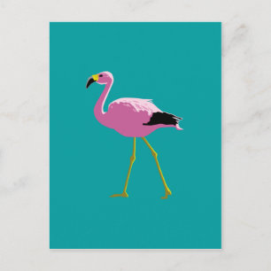 Cartão Postal Flamingo Rosa