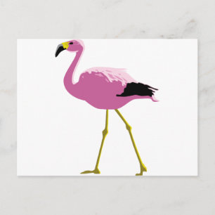 Cartão Postal Flamingo Rosa