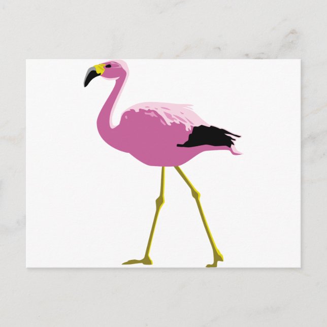 Cartão Postal Flamingo Rosa (Frente)