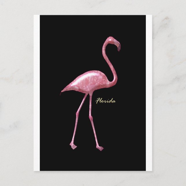 Cartão Postal Flamingo Rosa Flórida (Frente)