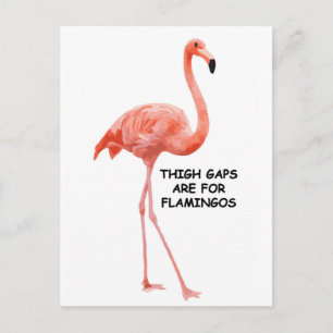 Cartão Postal Flamingo Rosa Inspiracional Brilhante