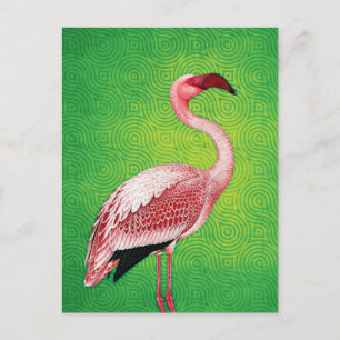 Cartão Postal Flamingo rosa no padrão verde retrô