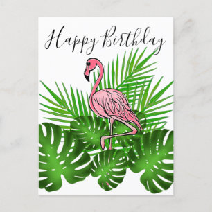 Cartão Postal Flamingo Rosa, selva tropical feliz aniversário