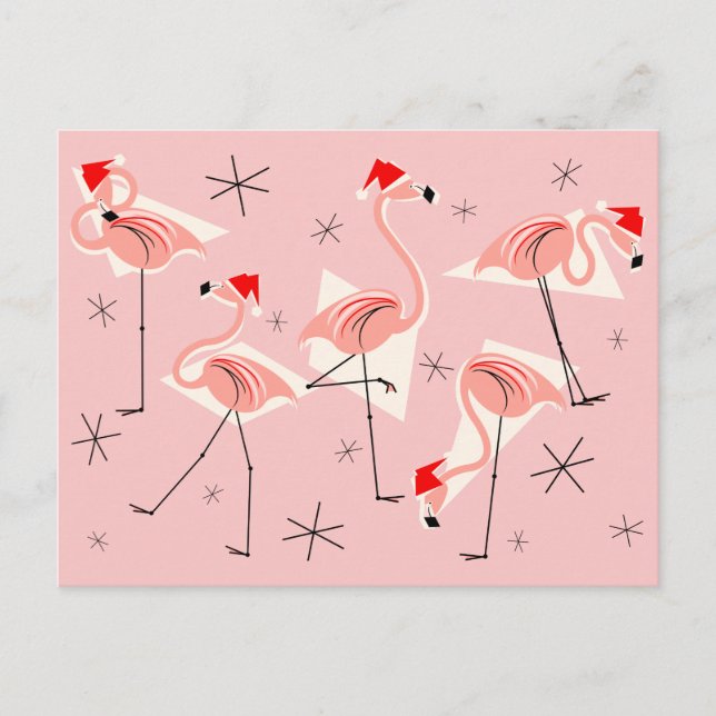 Cartão postal Flamingo Santas Rosa (Frente)