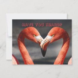 CARTÃO POSTAL FLAMINGO TALK MUDANÇA DE PLACA DE ENDEREÇO