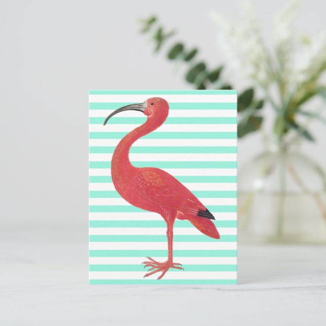 Cartão Postal Flamingo & Teal stripes - Fine Art Postcard (Em pé/Frente)