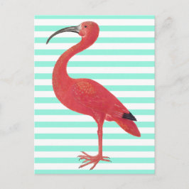 Cartão Postal Flamingo & Teal stripes - Fine Art Postcard