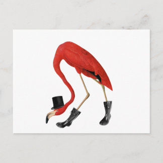 Cartão Postal flamingo vermelho no chapéu