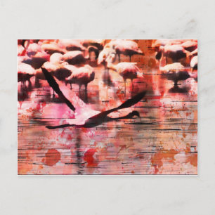 Cartão Postal Flamingo Wisdom