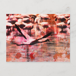 Cartão Postal Flamingo Wisdom