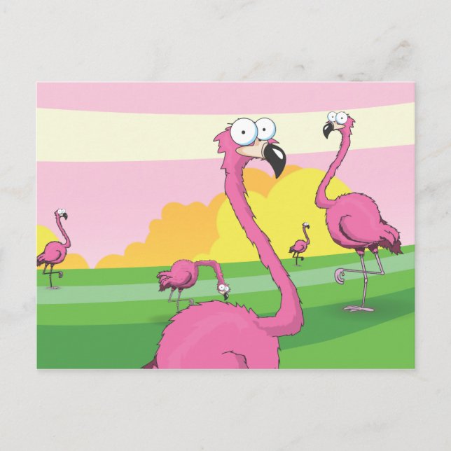 Cartão Postal flamingos (Frente)