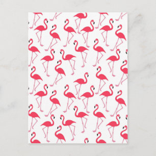 Cartão Postal flamingos