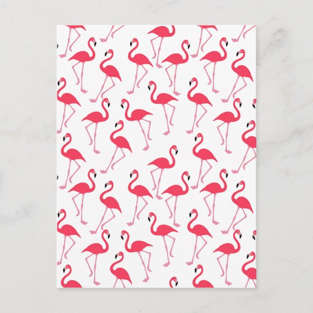 Cartão Postal flamingos (Frente)