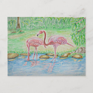 Cartão Postal Flamingos