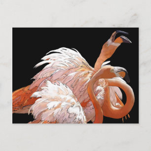 Cartão Postal Flamingos