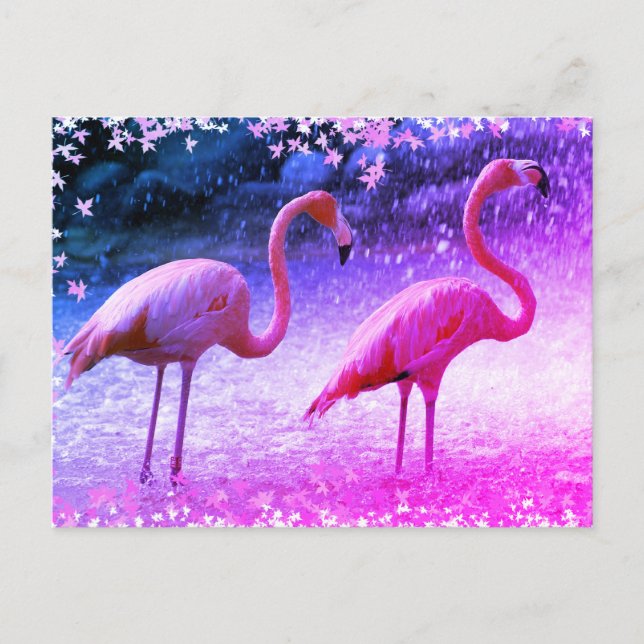 Cartão Postal Flamingos e cascata (Frente)