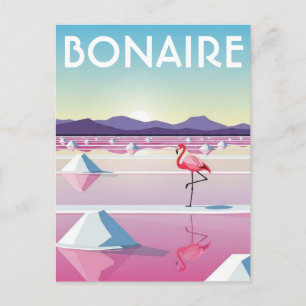 Cartão Postal Flamingos em Bonaire Caribe Holandês