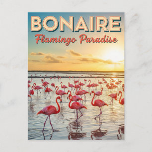 Cartão Postal Flamingos em Bonaire, Caribe neerlandês
