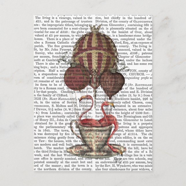 Cartão Postal Flamingos em Teacup (Frente)