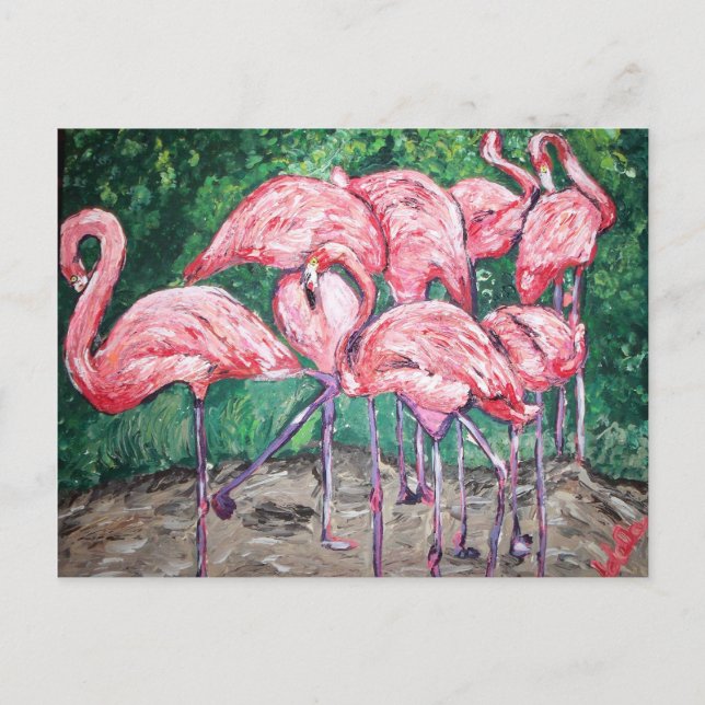 Cartão Postal "Flamingos Flamboyantes" (Frente)
