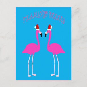Cartão Postal Flamingos Flamingo Belles