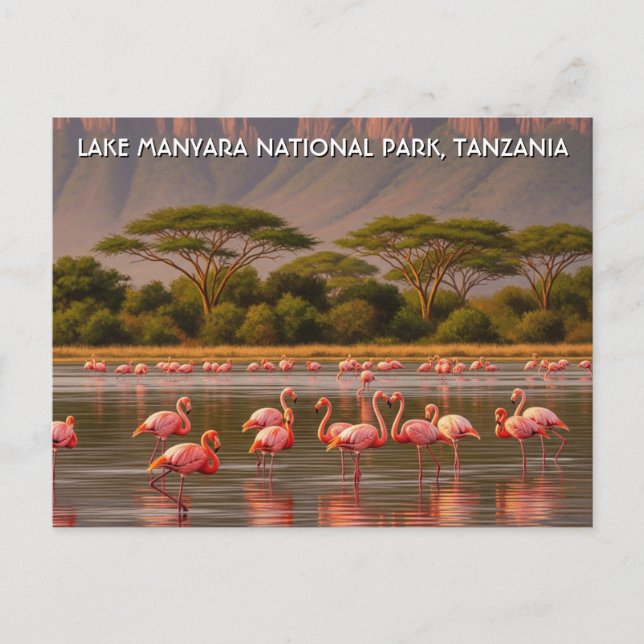 Cartão Postal Flamingos no Parque Nacional do Lago de Manyara, n (Frente)