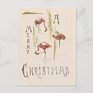 Cartão Postal Flamingos retro férias da Flórida dos anos 1800