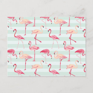 Cartão Postal Flamingos Retroativos Em Fitas De Casa