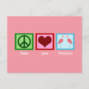 Cartão Postal Flamingos Rosa