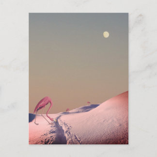 Cartão Postal Flamingos surreais na neve