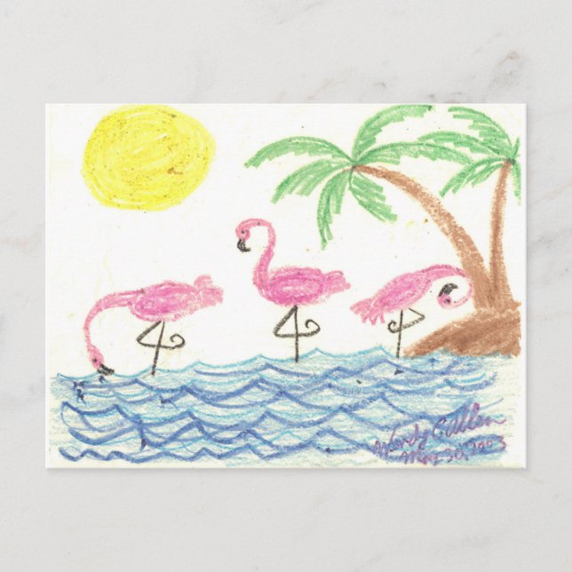 Cartão Postal Flamingos Vadeando (Frente)