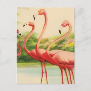 Cartão Postal Flamingos Vintage