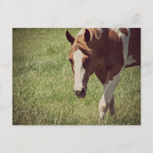 Cartão Postal Flashy