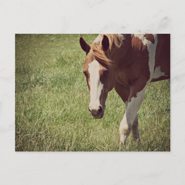 Cartão Postal Flashy (Frente)