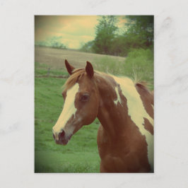 Cartão Postal Flashy Vintage