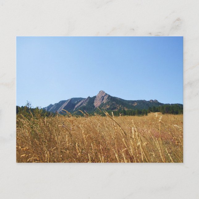 Cartão Postal Flat Irons (Frente)