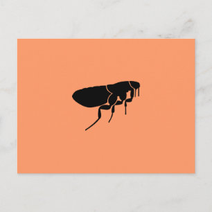 Cartão Postal Flea