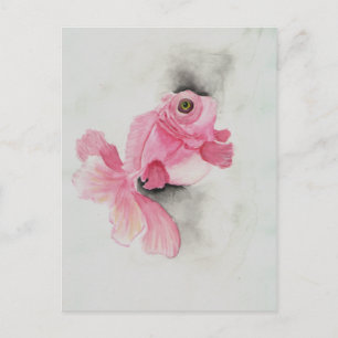 Cartão Postal Flesh Moor - Pintura de Aquarela Rosa Goldfish